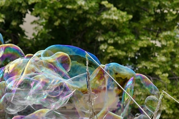 балон, сапун, прозрачен, цвят, Красив, парк, светъл, забавно, на открито, лято