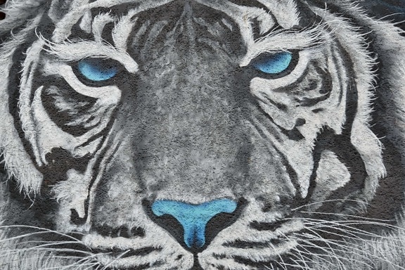 blanco y negro, creatividad, Graffiti, tigre, gato, decoración, animal, cabeza, cara, arte