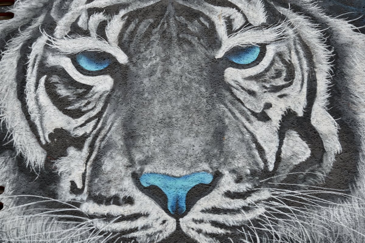 graffiti, tiger, tiger mouth, decoration, feline, face, animal, head, art, predator