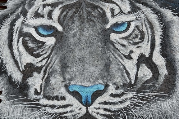 Graffiti, Tiger, Tiger moth, décoration, félin, visage, animal, tête, art, Predator