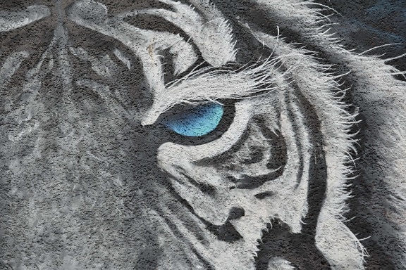 Tygr, divoká zvěř, graffiti, umění, umělecké, obličej, abstrakt, zeď, textura, návrh