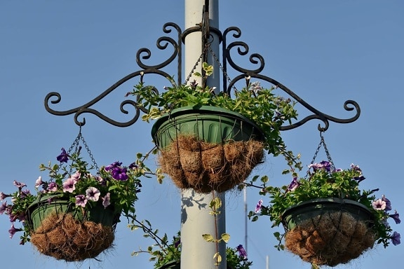 cast iron, flowerpot, metal, street, urban area, leaf, flower, nature, summer, garden