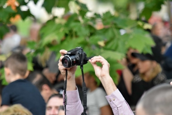 mulţimea, paparazzi, fotograf, fotografie, spectator, om, femeie, jurnalist, oameni, natura