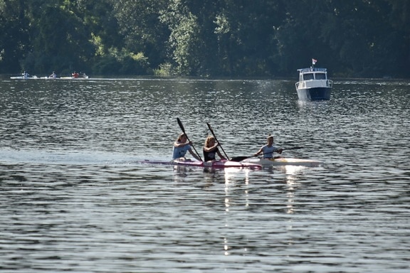 kayaking, oar, water, canal, boat, race, canoe, people, competition, watercraft