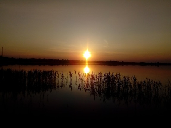 marshland, reflection, shadow, silhouette, sun, sunset, swamp, water, evening, summer