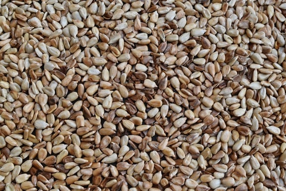 agriculture, herb, seed, sunflower seed, dry, nutrition, batch, diet, wheat, dietary