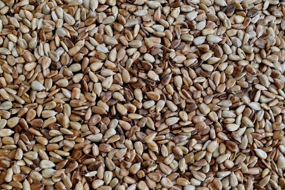 kernel, seed, sunflower seed, brown, dry, food, nutrition, batch, ingredients, diet
