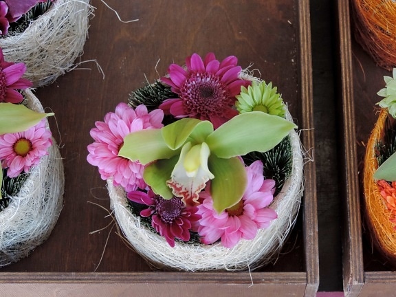 decoration, flowerpot, handmade, orchid, pinkish, still life, flower, flowers, arrangement, nature