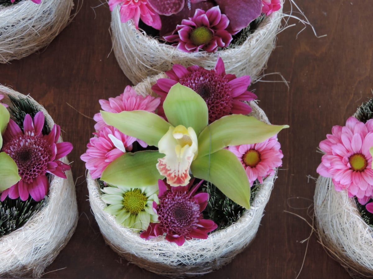 arranjo, cesta, decorativos, vaso de flor, feito à mão, orquídea, flor, natureza, rosa, decoração