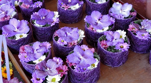 arrangement, flowerpot, handmade, horticulture, orchid, purple, flower, decoration, flora, aromatherapy