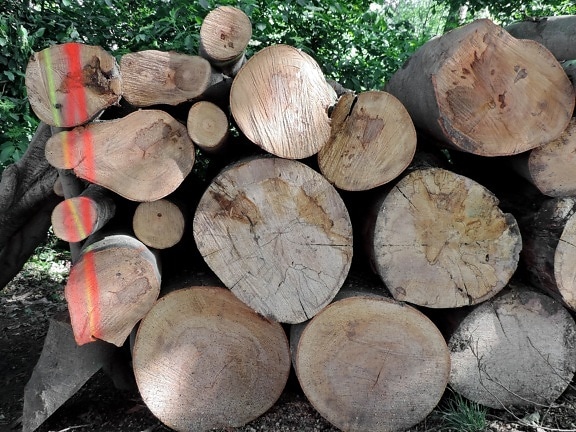 legna da ardere, natura, albero, tronco, carburante, legno, silvicoltura, abbaiare, mucchio, in legno