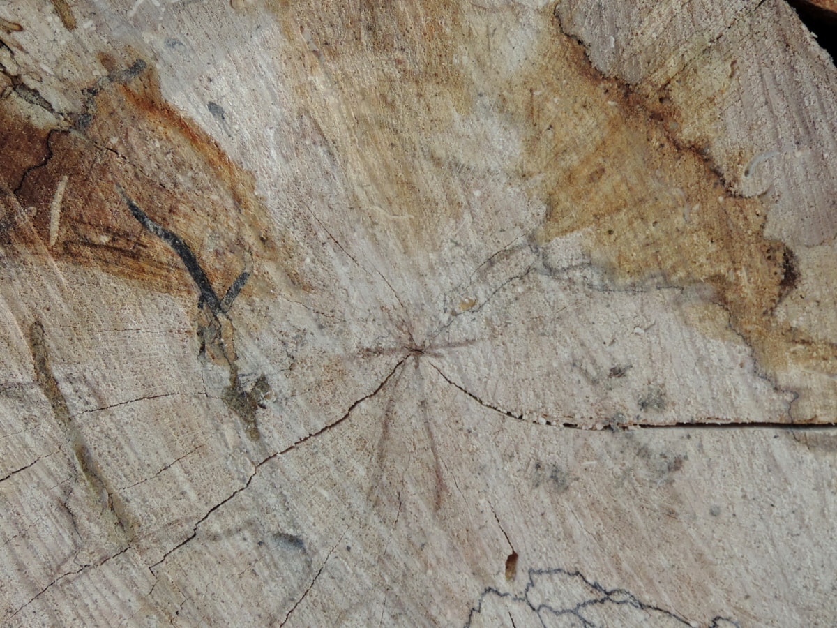 Brennholz, rau, Textur, alt, dreckig, abstrakt, Muster, Holz, Design, Oberfläche