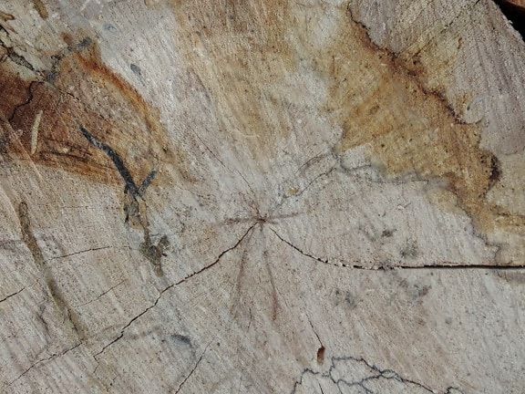 дърва за огрев, необработен, текстура, стар, мръсни, абстрактни, модел, дървен материал, дизайн, повърхност
