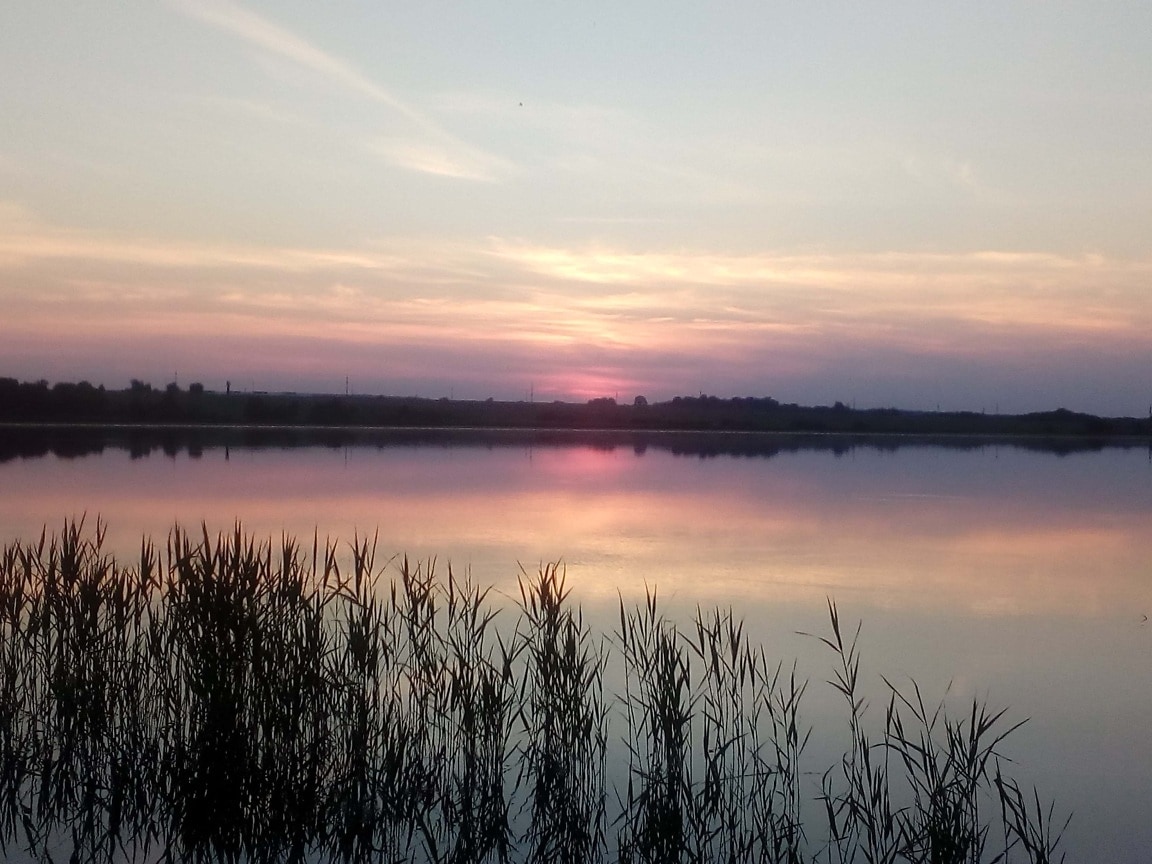 Free picture: dawn, marshland, reflection, swamp, wilderness, shore ...