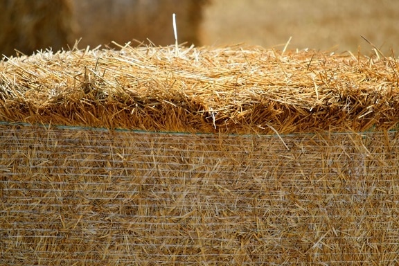 agriculture, bale, countryside, dry, farmland, field, harvest, hay, haystack, land