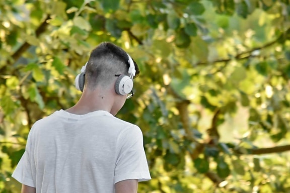 Anak laki-laki, headphone, headset, musik, remaja, alam, daun, di luar rumah, potret, pohon