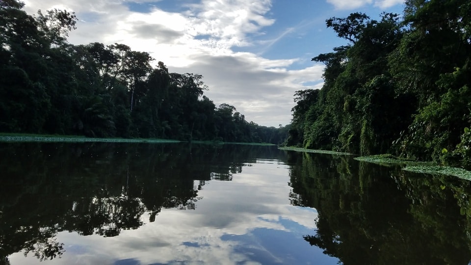 Free picture: horizon, reflection, riverbank, swamp, wilderness, tree ...