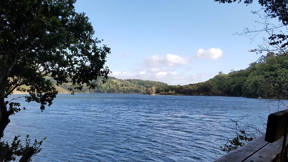 banco, beira do lago, Panorama, sombra, água, bacia do, paisagem, Costa, Lago, árvore