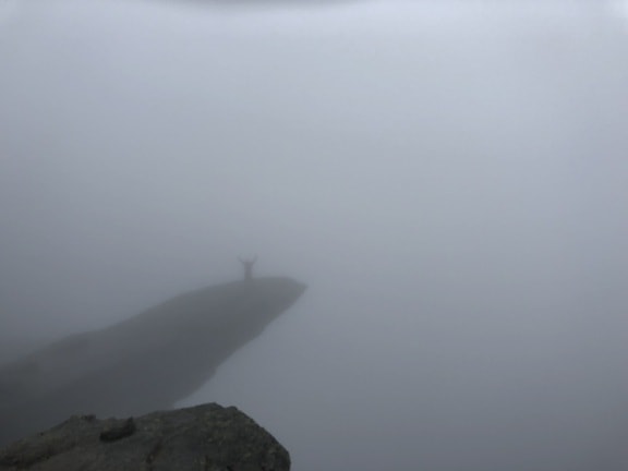 cliff, fog, person, silhouette, landscape, mist, nature, dawn, mountain, clouds