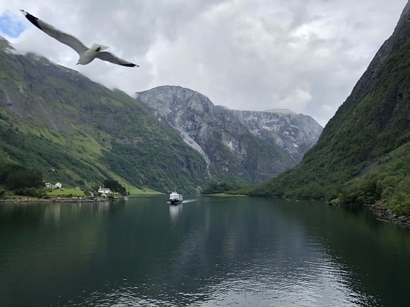 bird, flying, riverbank, seagull, ship, valley, nature, lakeside, mountains, water