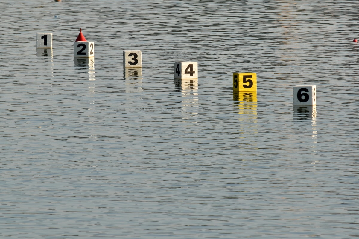 canoeing, number, start, track, lake, water, wood, reflection, flood, nature