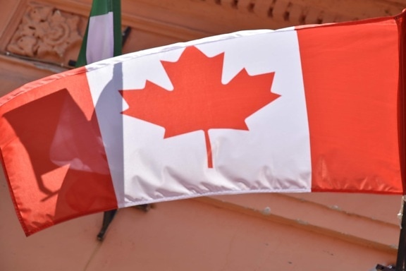 kanadiske, flagg, emblem, nasjonale, valget, patriotisme, vind, demokrati, utendørs, symbolet