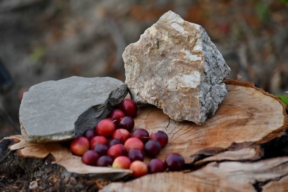 fruit, food, nature, wood, rock, stone, outdoors, leaf, ingredients, dry