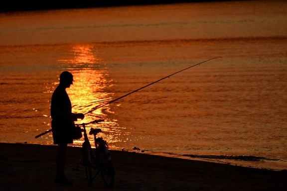 beach, bicycle, fishing gear, sunset, sea, water, silhouette, fisherman, people, dawn