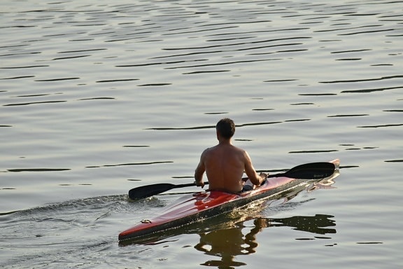 canoeing, condition, exercise, physical activity, reflection, sport, sunrise, sunset, sea, paddle