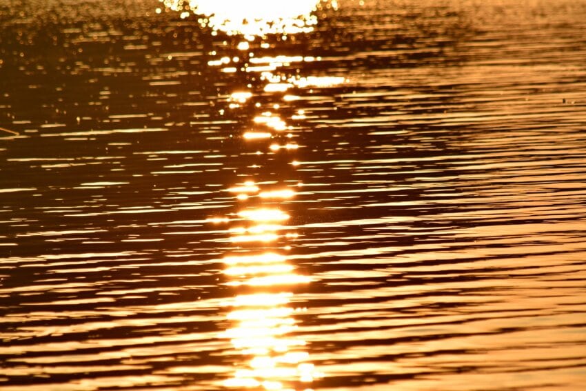 Free picture: horizon, ripple, sunset, water, waves, wood, texture, sun ...