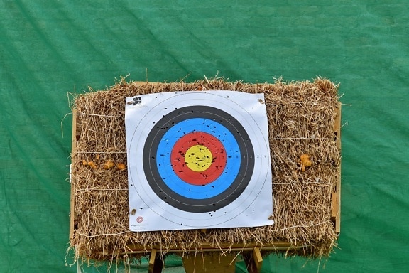 archery, practice, sport, target, hay, straw, nature, summer, symbol, fun