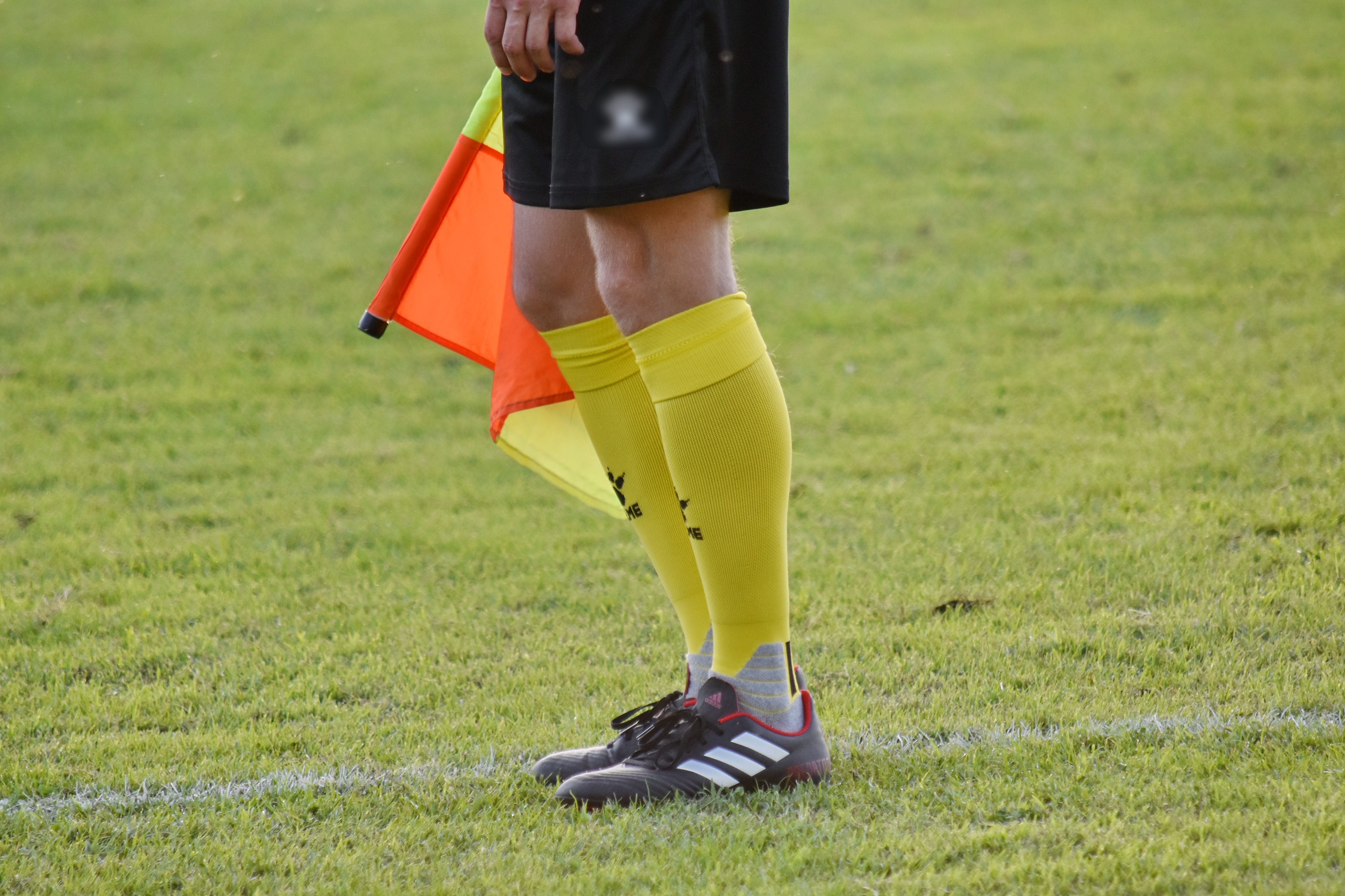 Free picture: equipment, flag, soccer, sport, uniform, foot, grass ...