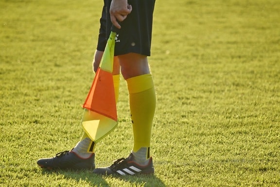 флаг, футбол, съдия, футбол, трева, играч, спорт, играта, конкуренцията, забавно