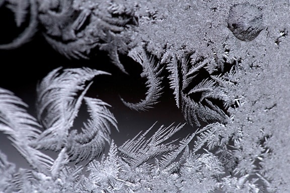 cold, details, frosty, frozen, ice crystal, snowflake, monochrome, winter, frost, snow