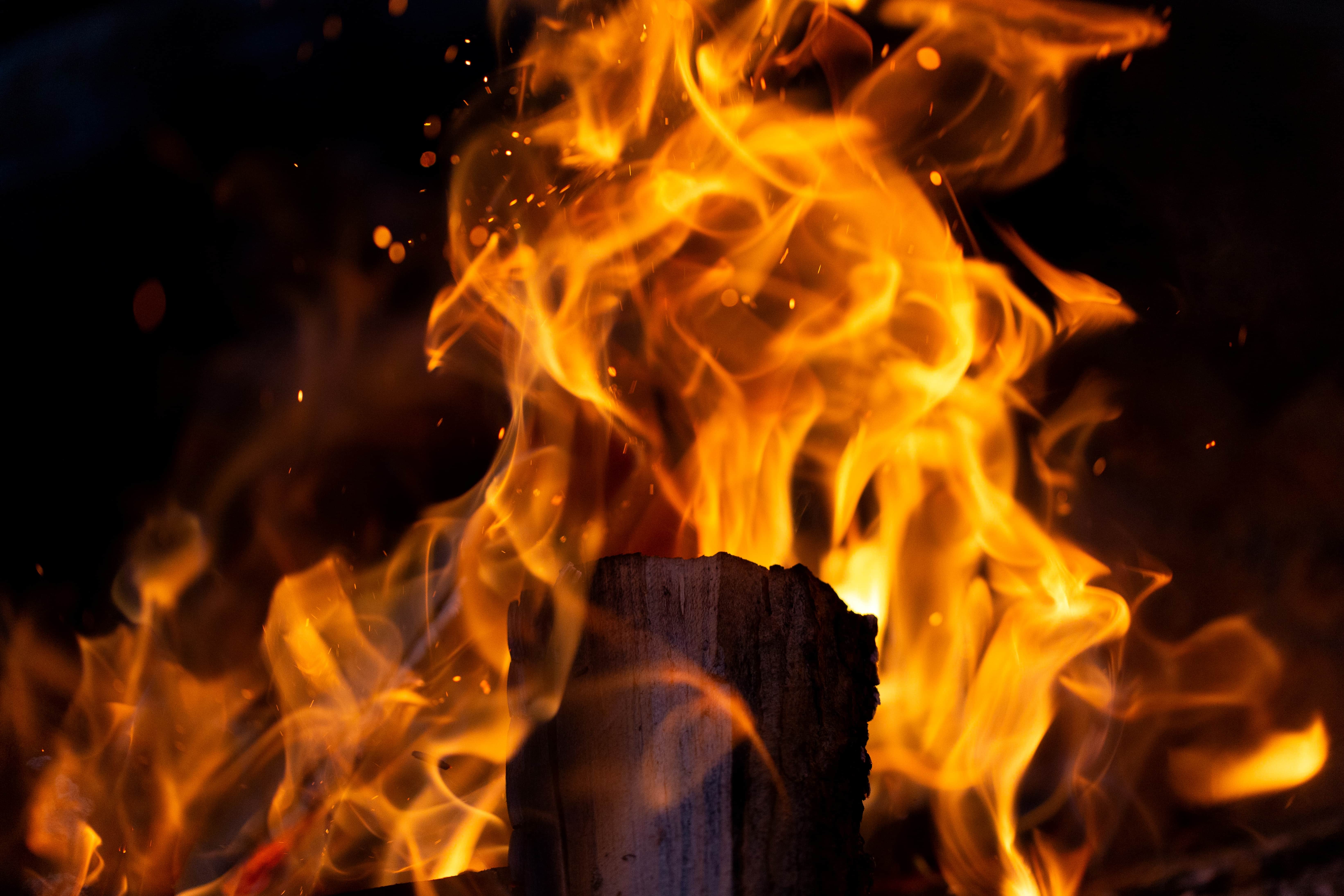 Nhiếp ảnh khung Ảnh Cháy Clip nghệ thuật  Phim Hoạt Hình Ngọn Lửa Cháy  Biểu Tượng Hình Ảnh png tải về  Miễn phí trong suốt Cánh Hoa png Tải về