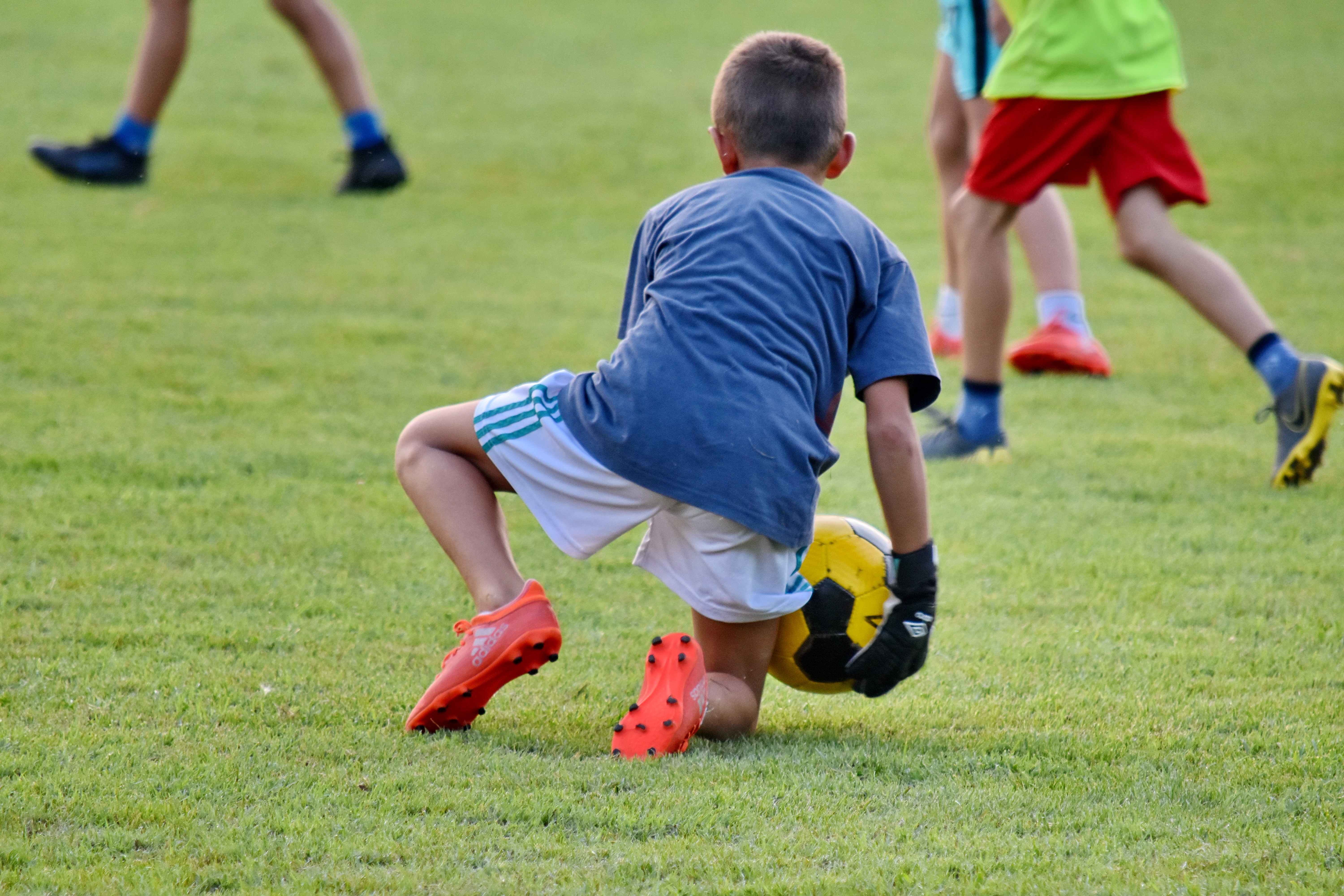 Free picture: championship, child, football player, game, player, soccer ball, football, soccer, sport, grass