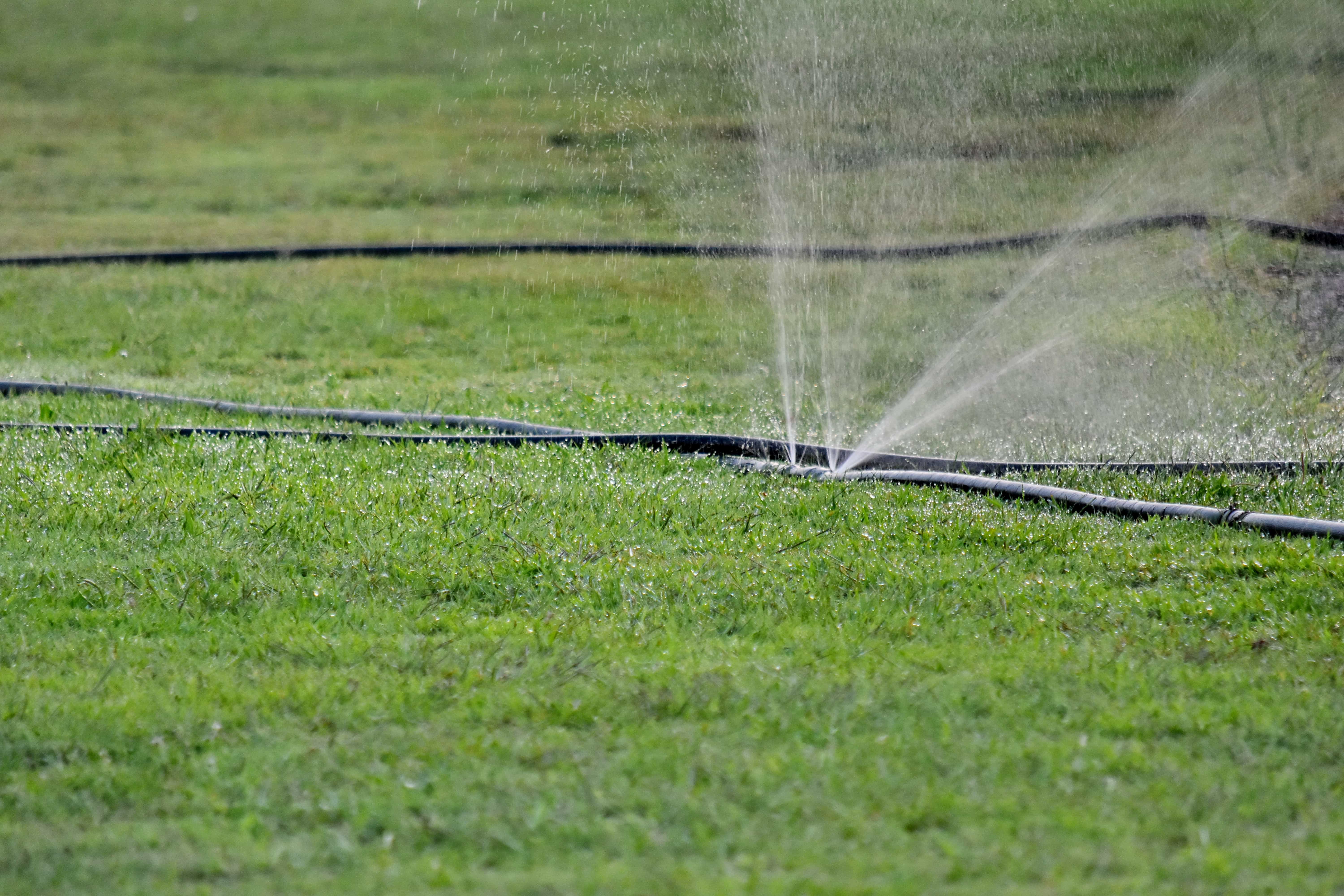 Free picture: field, grass, green grass, irrigation, mechanism, lawn, device, nature, spray, agriculture