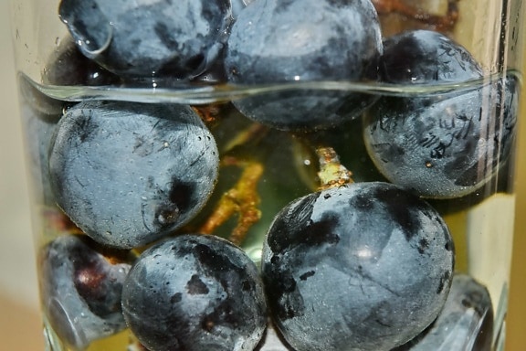 frais, verre, les raisins, liquide, organique, transparent, eau, santé, fruits, nature