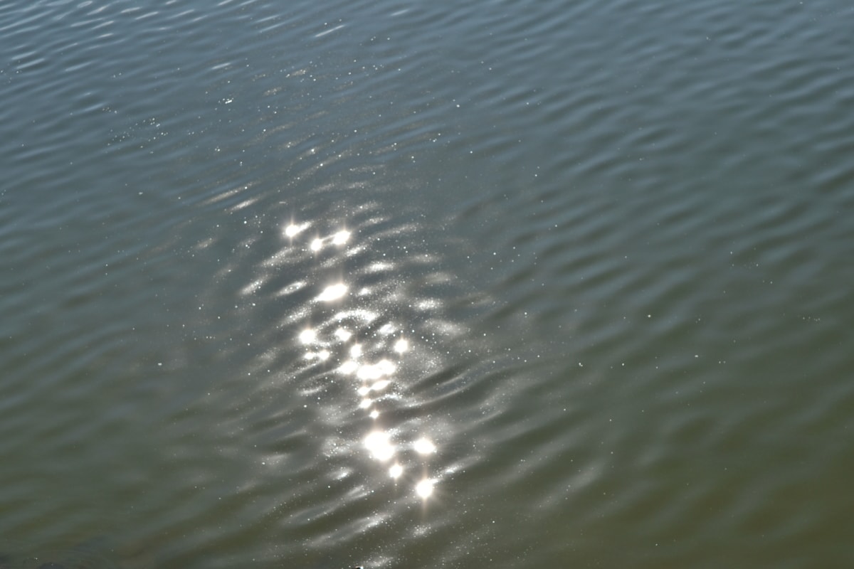 reflexión, nivel de agua, por vía navegable, agua, naturaleza, onda, Océano, lluvia, húmedo, ola