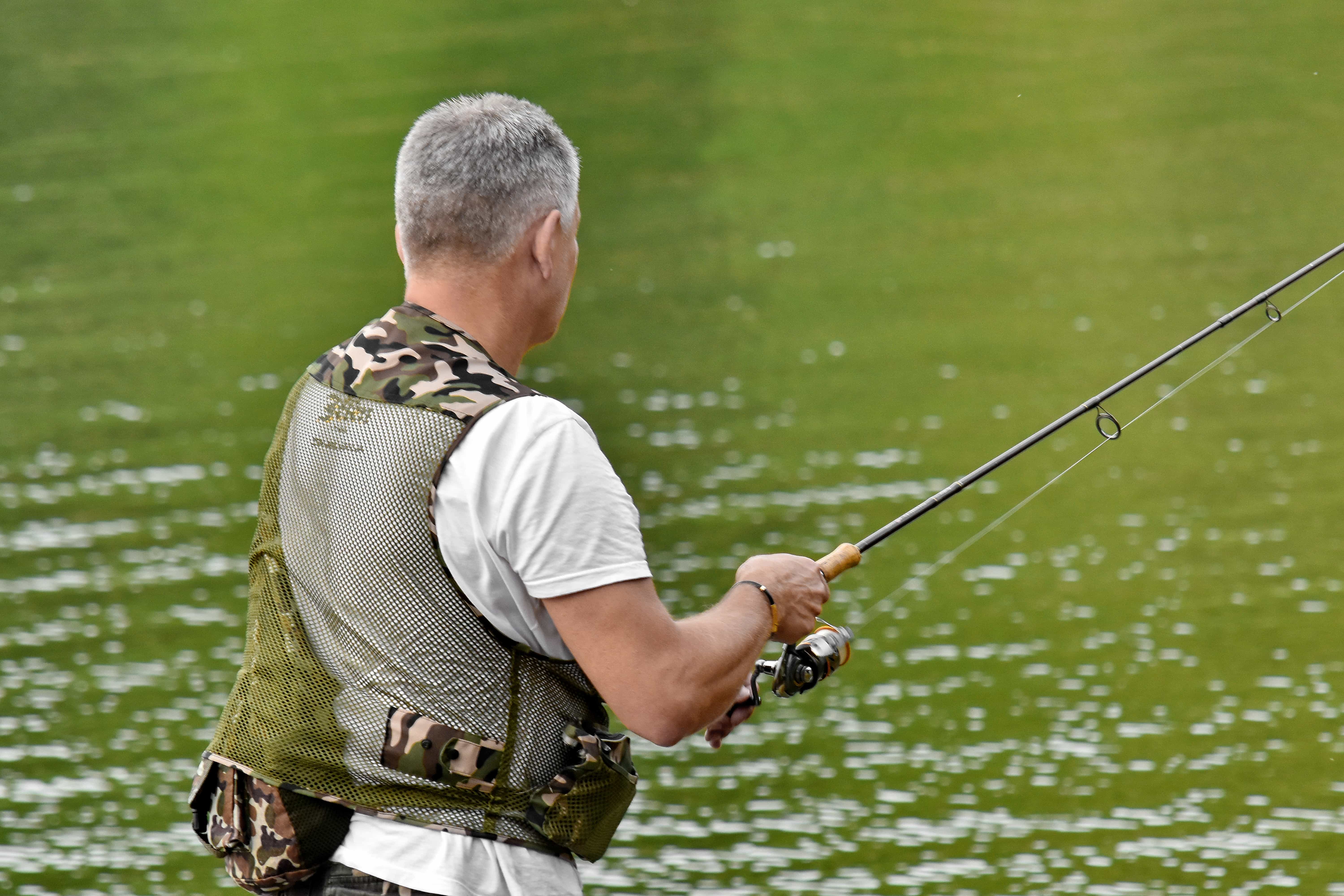 Free picture: fisherman, fishing gear, fly fishing, landscape, professional, river, sport, water, leisure, man