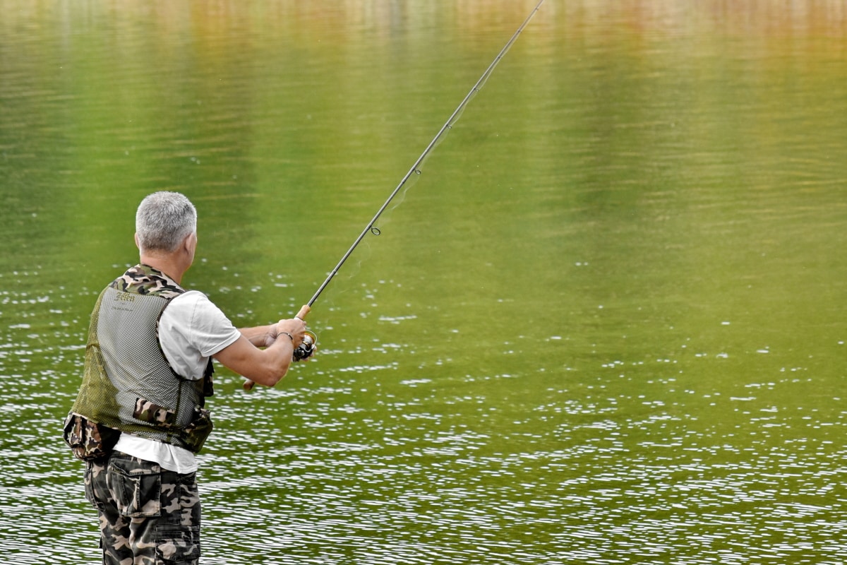 angler, fisherman, fishing license, national park, sport, fishing rod, water, leisure, recreation, nature