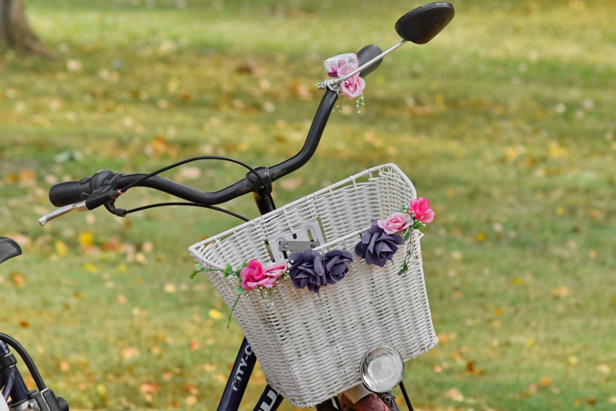 bicycle, park, romance, summer, wicker basket, outdoors, grass, nature, recreation, lawn