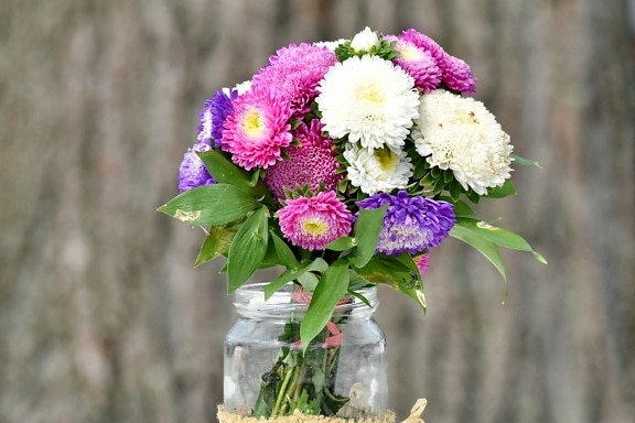 jar, romântico, vaso, decoração, buquê, flores, flor, rosa, arranjo, natureza