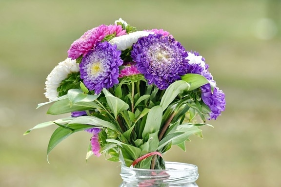 arrangement, bouquet, jar, still life, vintage, decoration, flowers, nature, flower, plant