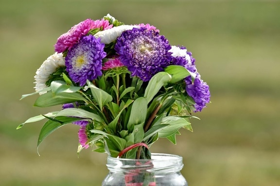 Glas, Vase, Anordnung, Blumenstrauß, Natur, Blume, Blumen, Sommer, Flora, Blatt
