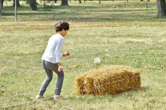 countryside, exercise, physical activity, pretty girl, agriculture, bale, beautiful, child, childhood, children