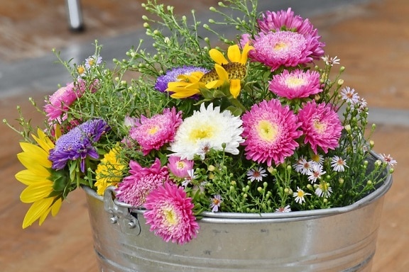 bucket, decoration, flowers, metal, object, flora, summer, bouquet, flower, plant