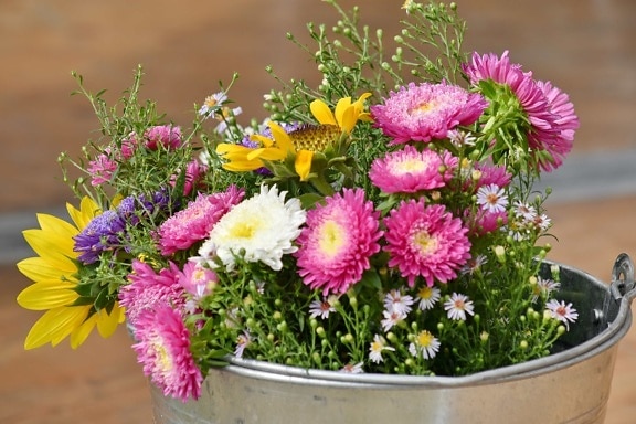 bucket, chamomile, chrysanthemum, decoration, flowers, romantic, arrangement, bouquet, summer, nature