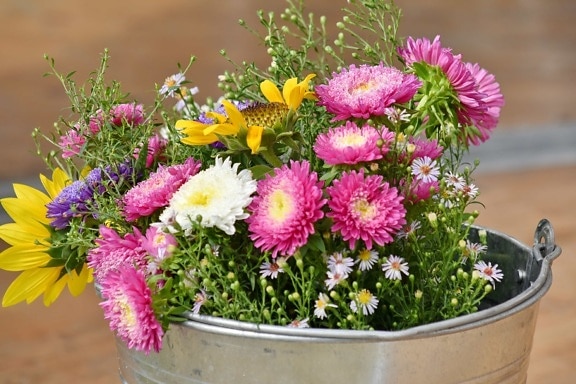Arrangement, bouquet, seau, tournesol, été, fleur, nature, fleurs, brillant, jardin
