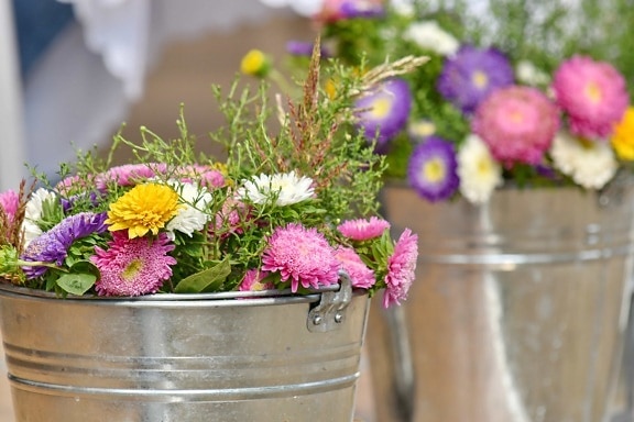 Arrangement, bouquet, seau, décoration, élégance, fleurs, nature morte, fleur, jardin, Blooming